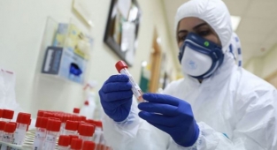 Covid-19'un kökenini bulmak için 