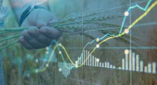 Gübre fiyatlarındaki artış enflasyon olarak dönecek!