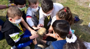 Minik Öğrenciler Sevimli Dostları Ziyaret Etti