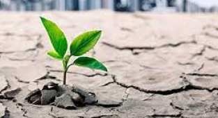 Paris Anlaşması'na ilişkin kanun yürürlüğe girdi