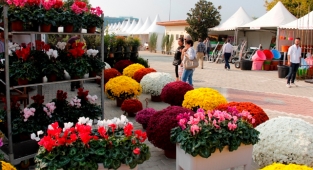 Süs bitkileri sektörünün kalbi Ödemiş’te atacak 