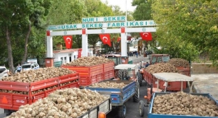 Türkiye'nin ilk şeker fabrikasında son durum: İhalelerde şartname var, uyan yok