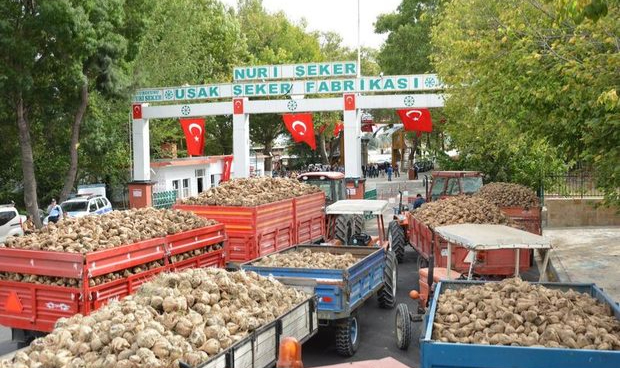 Türkiye'nin ilk şeker fabrikasında son durum: İhalelerde şartname var, uyan yok