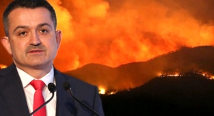 Bakan Pakdemirli yangınla mücadele envanterini açıkladı