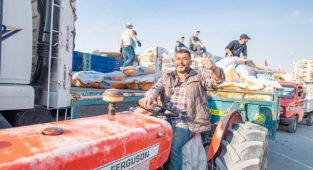 Büyükşehir'den hayvancılığa büyük destek Torbalı'da13 bin çuval kuzu büyütme yemi dağıtıldı 