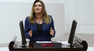 CHP'li Kılıç can dostlarımızın aşı sıkıntısını meclise taşıdı, 