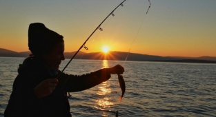  Dünya Balıkçılık Günü Çeşme'de kutlandı