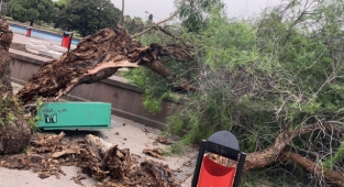 İzmir’de fırtına raporu