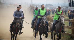 Küheylanlar, Atatürk için koştu