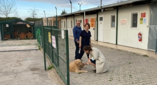 Başkan Çalkaya’dan Barınak Denetimi