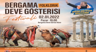 Bergama Deve Güreşi Festivali için geri sayım başladı