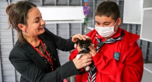 Buca’da engelli kediler yeni yuvalarını bekliyor