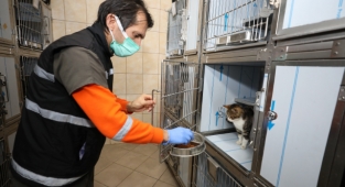 Can dostların kafesleri artık daha konforlu