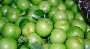 Eriğin kilosu bin liradan satışa sunuldu!