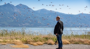 İzmirliler UNESCO adayı Gediz Deltası’nda buluşuyor