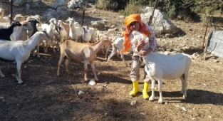 Keçilerin Kraliçesi kredi mahkumu