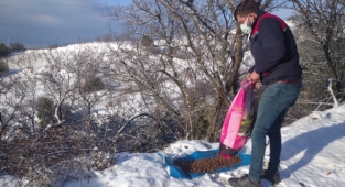 Kemalpaşa Belediyesi, can dostlarını yalnız bırakmıyor