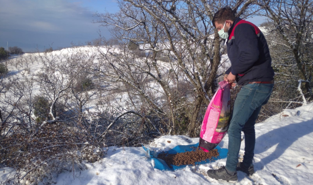 Kemalpaşa Belediyesi, can dostlarını yalnız bırakmıyor