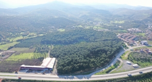 Başkan Pehlivan'dan Yeni Yıl Müjdesi:Menemen'e 110 bin metrekarelik mesire alanı geliyor!