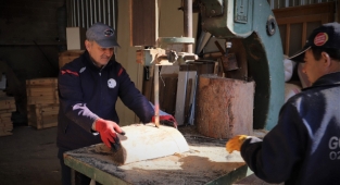 Ödemiş’te budanan ağaç dalları hem yürekleri hem yuvaları ısıtıyor 