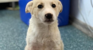 Ölümden döndü! Yeni yaşama 'Merhaba' dedi