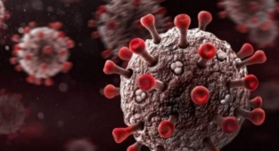 Omicron varyantı ilk kez görüntülendi