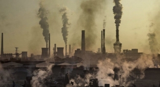 2021'de 350 milyon 228 bin lira çevre cezası kesildi: İzmir ilk 5'de!