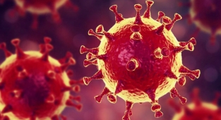 24 Ocak koronavirüs tablosu: 67 binden fazla yeni vaka, 156 can kaybı