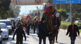 40 yılın Deve Güreşi'nde Altın Havan sahibini buldu