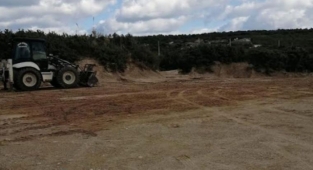 Beach Club için doğa katliamı: Asırlık ağaçları kestiler