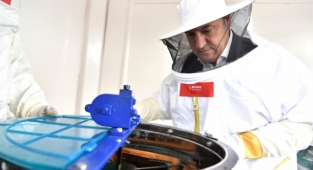 Bornova Belediyesi arıcılık eğitimleri başladı