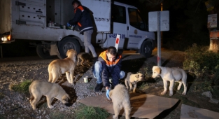 Buca’da can dostlarına gece gündüz mama desteği