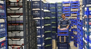 Dondurucu soğuklar sebze ve meyveyi de vurdu! Yüzde 50 azalma var