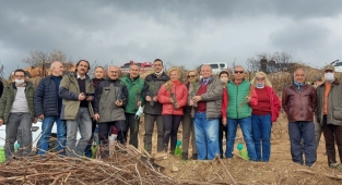 Gazetecilerden yanan alanlara 1000 fidan  