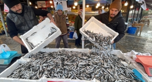 Havalar soğudu, balık tezgahları hamsiyle doldu