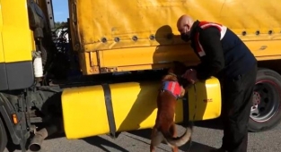 İzmir'de jandarmadan sıkı denetim