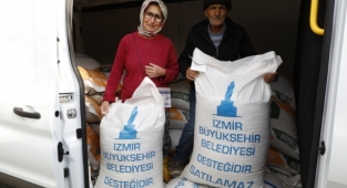 Keçilerin Kraliçesi'ne Büyükşehir'den yem yardımı