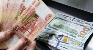 Rusya Merkez Bankası, döviz alımını durdurdu