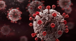 Sonraki varyant adı: 'Kıyamet Günü'