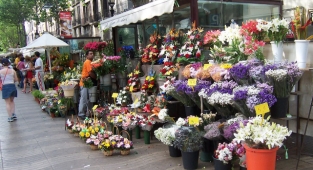 14 Şubat'ta çiçekçilerden yoğun mesai