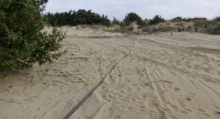 Çeşme'de beach clup yapmak için doğayı tahrip ettiler!