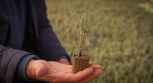 'Doğa Şehirde' projesiyle İzmir’de üreticiler, sulama gerektirmeyen bitki yetiştiriyor
