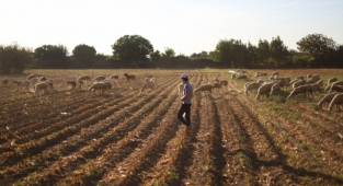 İzmir Büyükşehir Belediyesi’nden çiftçilere ücretsiz danışmanlık hizmeti