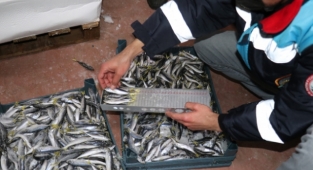 İzmir'de yasalara uygun avlanmayan yaklaşık 8 Ton Balığa El Konuldu!