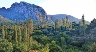 İzmir'in ciğerlerine açılacak madene Başkan'dan rest: Gerekirse çadır kurar... 