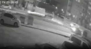 Menemen Belediyesi'nde köpek skandalı bitmiyor... Küpeleri çıkarıp bırakmışlar!