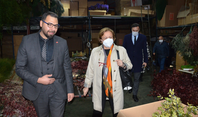 Mumya Çiçek İhracatı: Kuruçay'dan dünyaya…