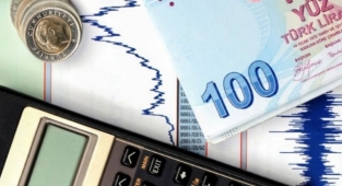 Yurt Dışı Üretici Fiyat Endeksi Ocak'ta yükseldi