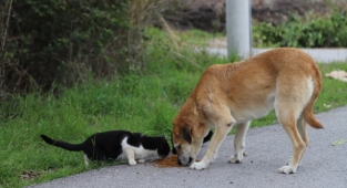 Başkan Kayalar, “Can Dostlarımızın Her Mevsim Yanındayız”