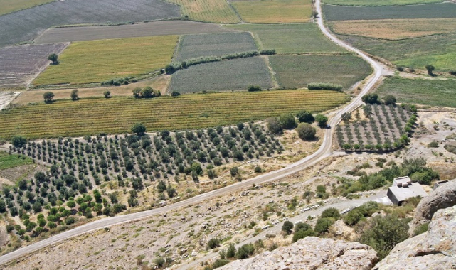 Bergama'da 60 milyonluk tarla satışı!